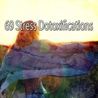 69 Stress Dotoxifications