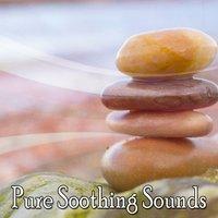 Pure Soothing Sounds