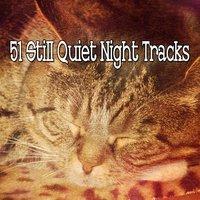 51 Still Quiet Night Tracks