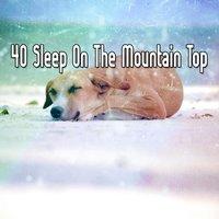 40 Sleep On The Mountain Top