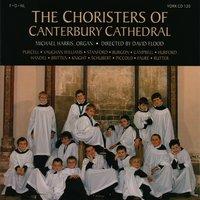 The Choristers of Canterbury Cathedral