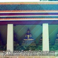 74 Tracks For Peak Serenity