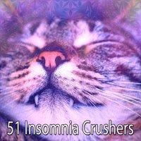 51 Insomnia Crushers