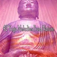 42 Yoga Melodies From Nature