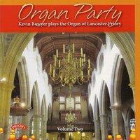 Organ Party, Vol. 2