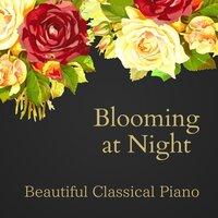 Beautiful Classical Piano - Blooming at Night