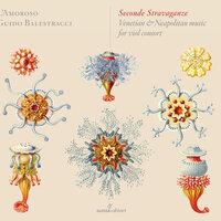 Seconde Stravaganze: Venetian & Neapolitan Music for Viol Consort
