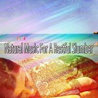 Natural Music For A Restful Slumber