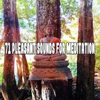 71 Pleasant Sounds For Meditation