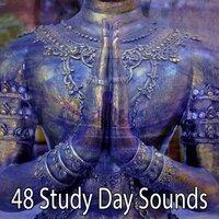 48 Study Day Sounds