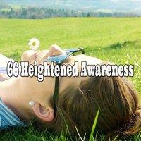66 Heightened Awareness