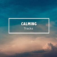 #10 Calming Tracks for Sleep and Relaxation
