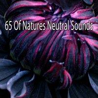 65 Of Natures Neutral Sounds