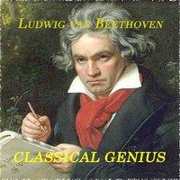 Ludwig Van Beethoven - Classical Genius