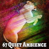 67 Quiet Ambience