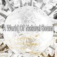 A World Of Natural Sound