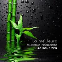 La meilleure musique relaxante - 40 sons zen, Harmonie et bien-être