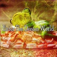 Enter The Dream World