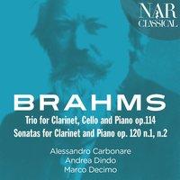 Brahms: Trio for Clarinet, Cello and Piano & Sonatas for Clarinet and Piano