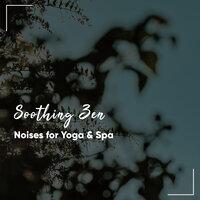 #1 Hour Soothing Zen Noises for Meditation, Yoga & Spa