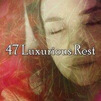 47 Luxurious Rest