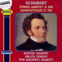 Schubert: String Quintet in  C Major, D. 956 / String Quartet No. 12 in C Minor, "Quartettsatz"