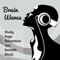 Brain Waves - Study Yoga Relaxation Deep Concentration Spa Smooth Music with Mind Training Exam Meditative Instrumental Sounds