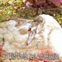 80 Wild Worlds Rest And Relaxation