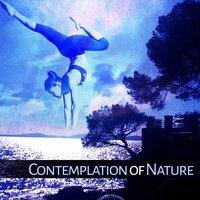 Contemplation of Nature – Peaceful Music for Meditation, Yoga, Nature Sounds, Relaxation, Harmony & Calmness, Pure Mind