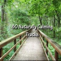 80 Naturally Calming Tracks