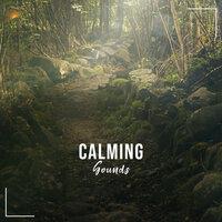 #15 Calming Sounds to Clear your Mind