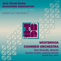 2016 Texas Music Educators Association (TMEA): Westbrook Intermediate School Chamber Orchestra