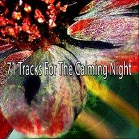 71 Tracks For The Calming Night