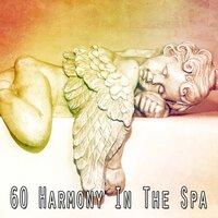 60 Harmony in the Spa