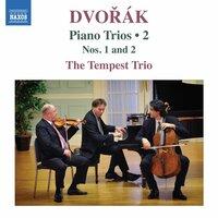Piano Trio No. 1 in B-Flat Major, Op. 21, B. 51: I. Allegro molto