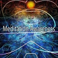 Meditation Awareness