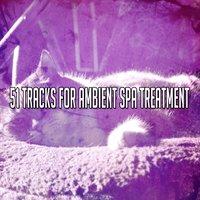 51 Tracks For Ambient Spa Treatment
