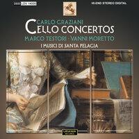 Cello Concerto in D Major: II. Adagio