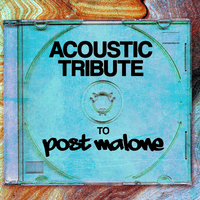Post Malone Acoustic Tribute
