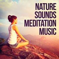 Nature Sounds Meditation Music