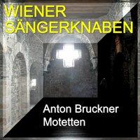 Anton Bruckner Motetten