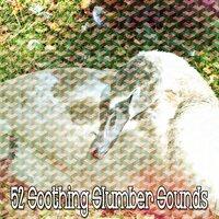 52 Soothing Slumber Sounds
