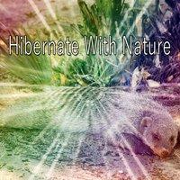 Hibernate With Nature