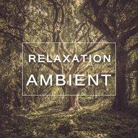 Relaxation Ambient – Sounds of Nature, Relaxing Therapy, Deep Rest, Total Harmony
