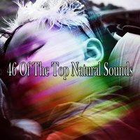46 Of The Top Natural Sounds