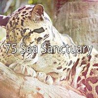 75 Sea Sanctuary