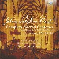 J.S. Bach: Complete Sacred Cantatas Vol. 06, BWV 101-120