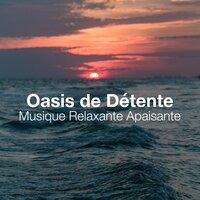 Oasis de Détente: Musique Relaxante Apaisante, Musique Douce Pour Arrêter De Penser