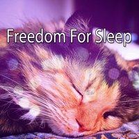 Freedom For Sleep
