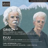 Grieg & Evju: Works for Piano